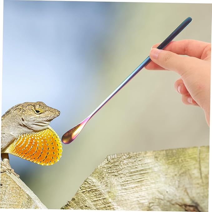POPETPOP 3pcs Leopard Gecko Food Scoop Reptile Spoons for Wet Food Feeding Tool