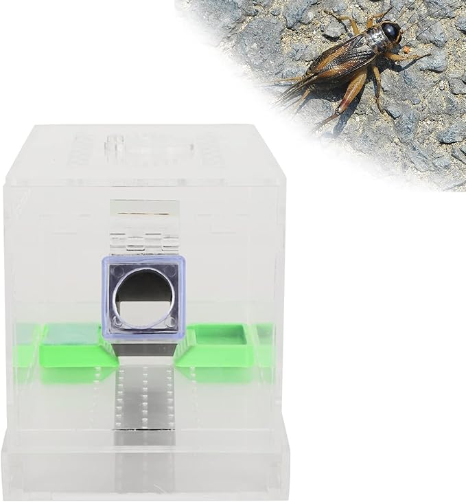 Acrylic Feeding Cricket Keeper Pen with Tubes Care Kit Tank Box for Reptile (Small 9x9x11cm/ 3.54x3.54x4.33in)