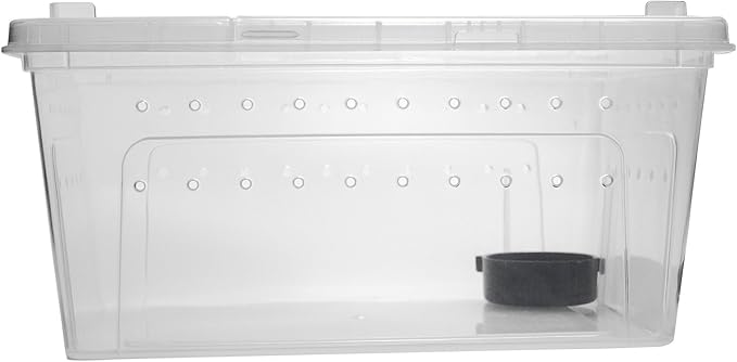 OMEM Portable Reptile Terrarium Habitat for Mini Pet Houses Breathable Holes Stackable Container (L)