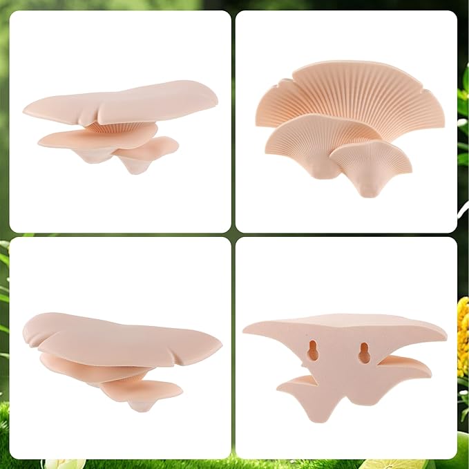 Mushroom Decor Climbing Hold Kit Realistic Terrarium Plants Concealed Jumping Spider Habitat Enclosure Decorate Accessories for Leopard Geckos Crested Geckos Tree Frogs Small Lizards