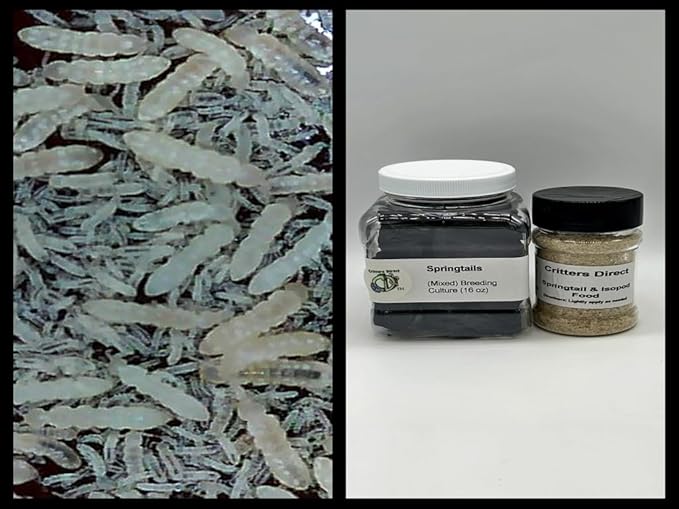 Critters Direct Live Springtails, (16 oz Breeding Culture + Food), for Amphibian/Reptile/Invertebrate Bioactive Habitats
