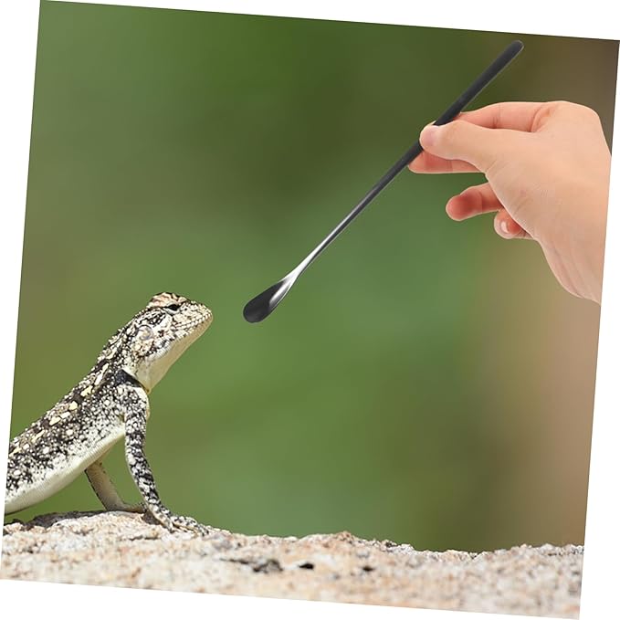 HANABASS 2pcs Stainless Steel Reptile Feeding Spoon Small Pet Food Scoop for Lizards Reptiles Easy Clean Portable