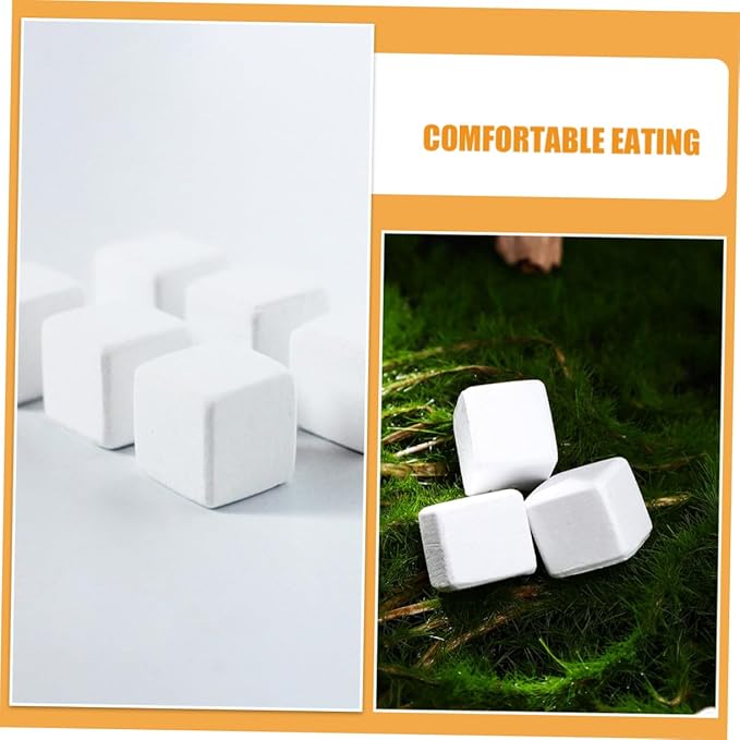 GALPADA 30pcs Natural Mineral Block: for Reptiles and Amphibians Tortoise Turtle Frog Lizard Chameleon Provides Microelements Promotes Growth Pet Health Products