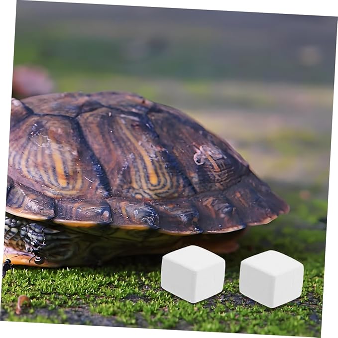 BESPORTBLE 12-Piece PET Mineral Block Set for Reptiles Natural for Crab Enclosure Nutrient-Rich Reptile Habitat Accessories