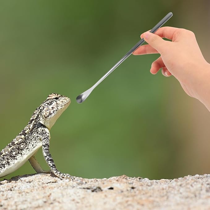 HANABASS 2pcs Sturdy Stainless Steel Feeding Spoon for Lizards Reptiles Multi-Functional Pet Food Scoops Small Lizard Food Spoon