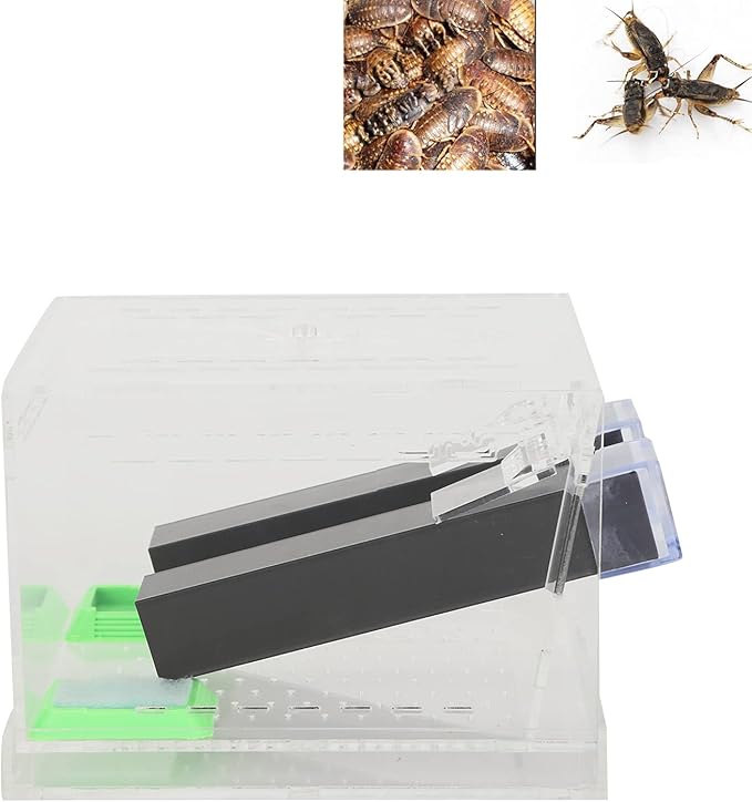 Cricket Keeper with Tubes, Easy to Equipped with Water/Food Feeding Tub Cricket Care Kit for Home for Office(L)