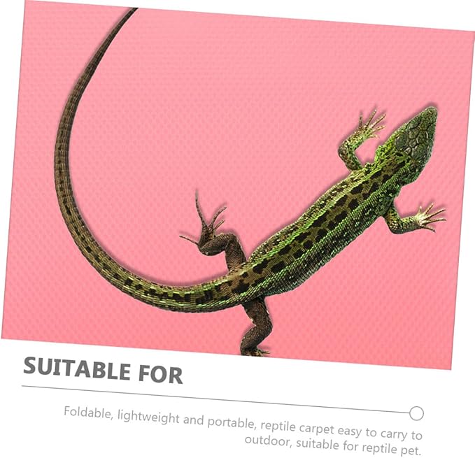 Reptile Substrate Mat EVA Non-Stick Terrarium Carpet for Leopard Gecko Tortoise Lizard Tank Bedding Soft Breathable Reptile Habitat Liner