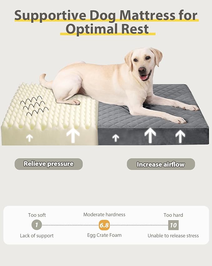 NUPIDA Orthopedic XL Dog Beds Large Sized Dog Waterproof Pet Bed for Crate with Removable Washable Cover and Non-Slip Bottom, 41x27 Inch, Dark Gray