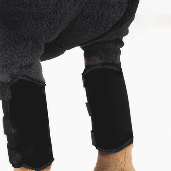 Generic 4Pcs Horse Boots Leg Protectors Adjustable Comfortable Neoprene Reusable Breathable Horse Protectors Equipment Set, Black, L