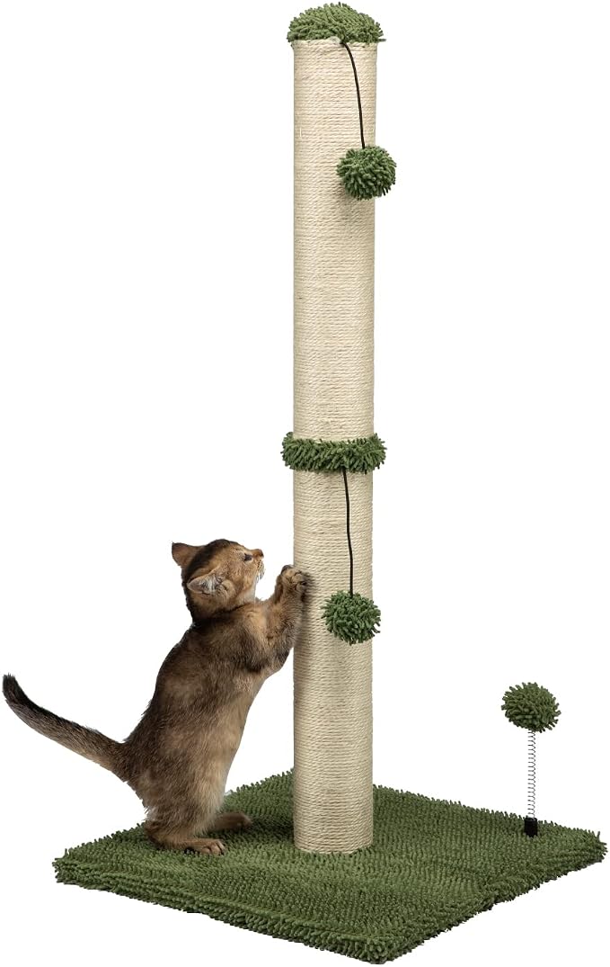 MECOOL 34“ Tall Cat Scratching Post Premium Basics Kitten Scratcher Sisal Scratch Posts Trees with Hanging Ball for Indoor Cats (34 inches for Adult Cats, Cactus Green) by MECOOL