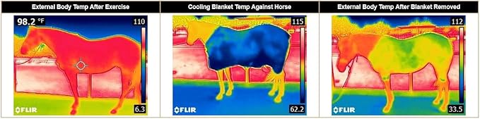 Weaver Equine CoolAid Equine Cooling Blanket