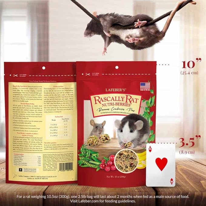 LAFEBER'S Rascally Rat Nutri-Berries, Made with Non-GMO and Human-Grade Ingredients, for Rats (10 oz Pack of 2)