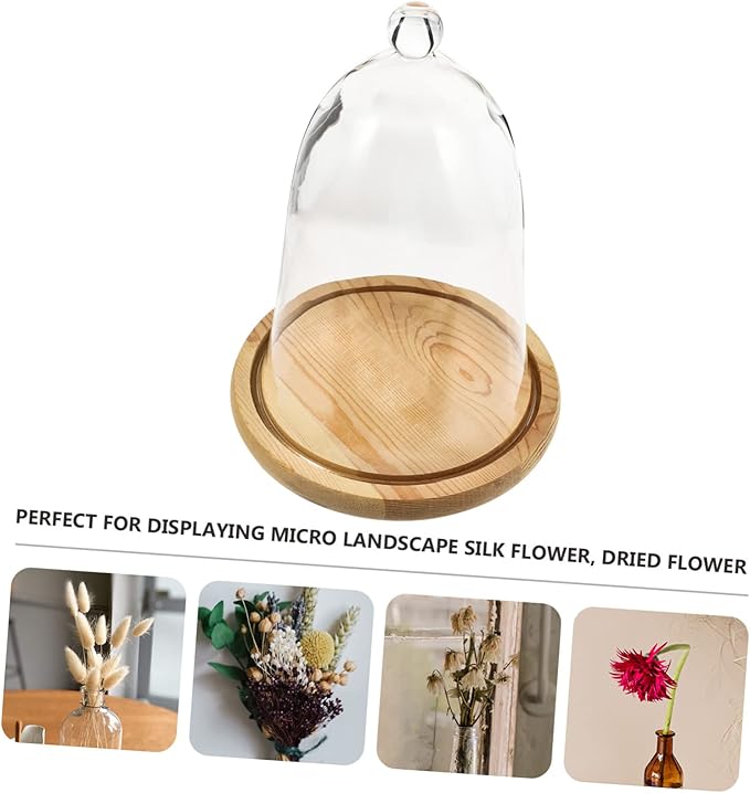 Garneck 1set Elegant Preserved Flower Glass Dome Base Creative Landscape Display for Home and Car Interior for