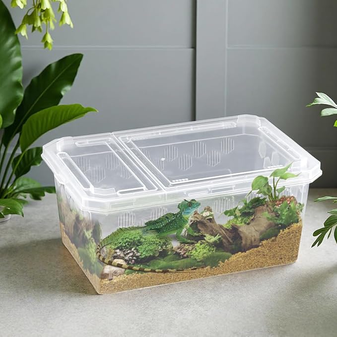 4 Pack Reptile Feeding Box Breeding Box Transparent Cage Habitat Hatching Container for Reptile Spider Scorpion Gecko Tortoise Treefrog