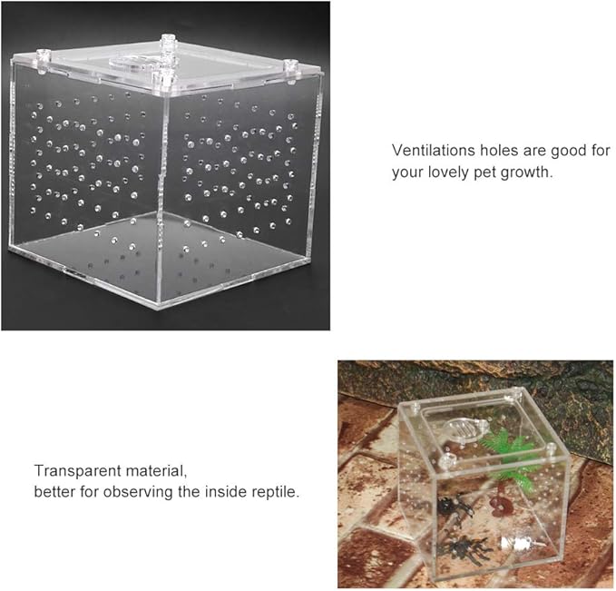 Reptile Breeding Tools, Reptile Hatching Supplies, Lizard Breeding Acrylic Box Case Insects House 1Pc Reptile Terrarium Feeder Snakes Spider