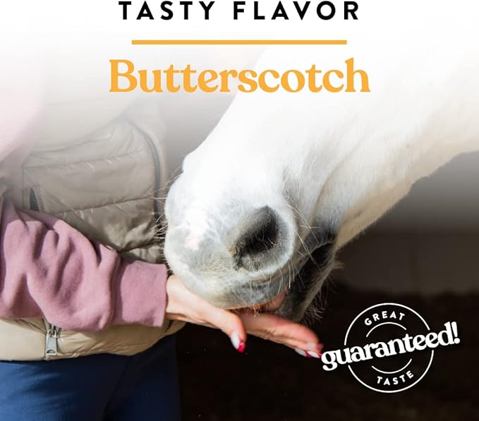Manna Pro Bite-Size Nuggets for Horses – Horse Training Treats – Butterscotch Flavored Treats for Horses – 4 pounds (Pack of 2)