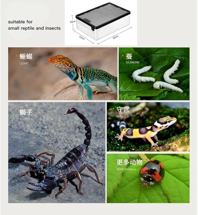 AWXZOM Reptile Feeding Box Clear Terrarium for Geckos, Frog, Lizards, Chameleons, Serpents, Scorpion, Snail, Insect, Hermit Crab, Isopods - 12.6x8.6x3.9inch