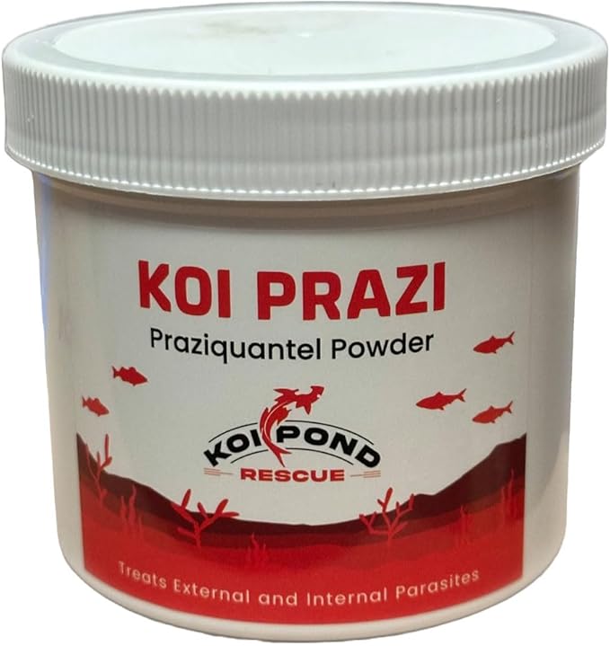 Generic KOI PRAZI (10 Grams) Praziquantel Powder for Pond & Aquarium, Effective Fish Treatment for Flukes & Bacterial Infections in Koi and Ornamental Fish, White