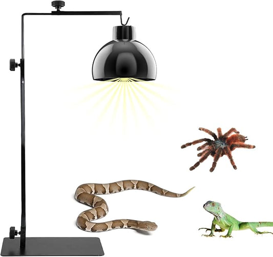 kathson Reptile Lamp Stand Adjustable Metal Floor Lamps Bracket Reptiles Tank Heating Light Support for Bearded Dragon Snakes Tortoise Lizards Frog Hermit Crab (1 PCS)