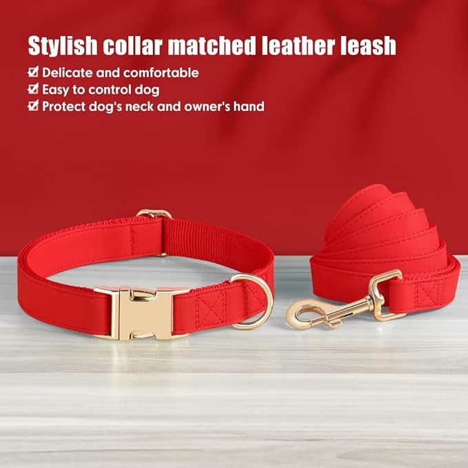 PET ARTIST Soft PU Leather Dog Collar and Leash Set, Bright & Stylish 5FT PU Leather Leash and Collar Set, Durable Pet Collars with Quick Release Metal Buckle for Small Dogs,Red,S(9"-14")