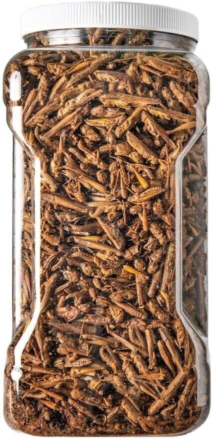 Aquatic Foods Inc. Grasshoppers- Freeze Dried Grasshoppers, Great for Reptiles, Turtles, Tortoises, Hamsters, Rodents, Birds, Large Tropical Fish - 5oz JAR