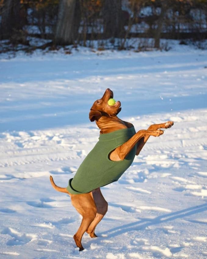 Gooby Stretch Fleece Vest Dog Sweater - Forest Green, 6X-Large - Warm Pullover Super Stretchy Fleece Dog Jacket for Small to Large Dogs