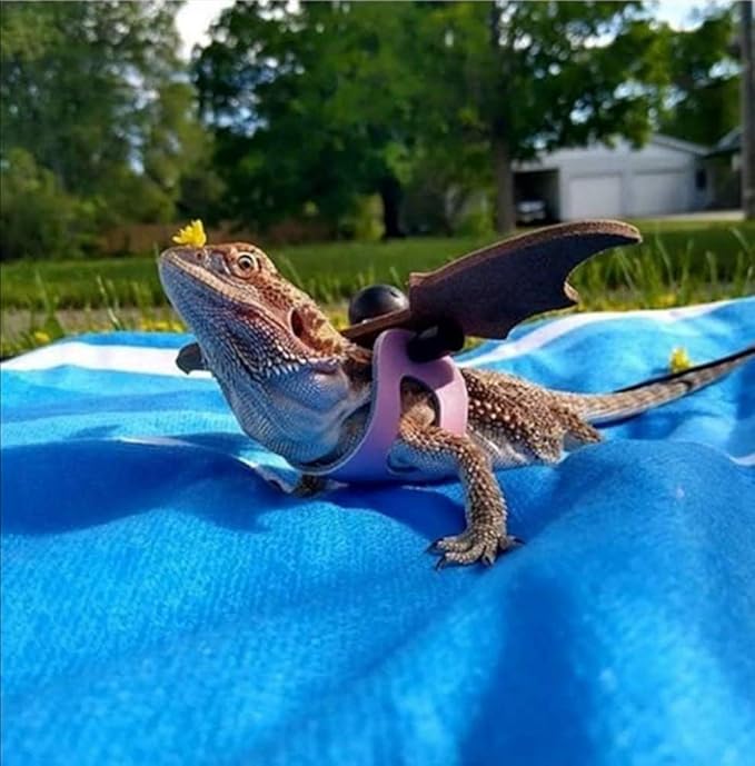 Valentine's Day Bearded Dragon Lizard Leash Harness Hat Bowtie Set - Valentine's Day Hat + Bowtie + 3 Pack Harness Leash for Bearded Dragon Iguana Amphibians Gift Small Animal Clothes Outfit(Pink Set)