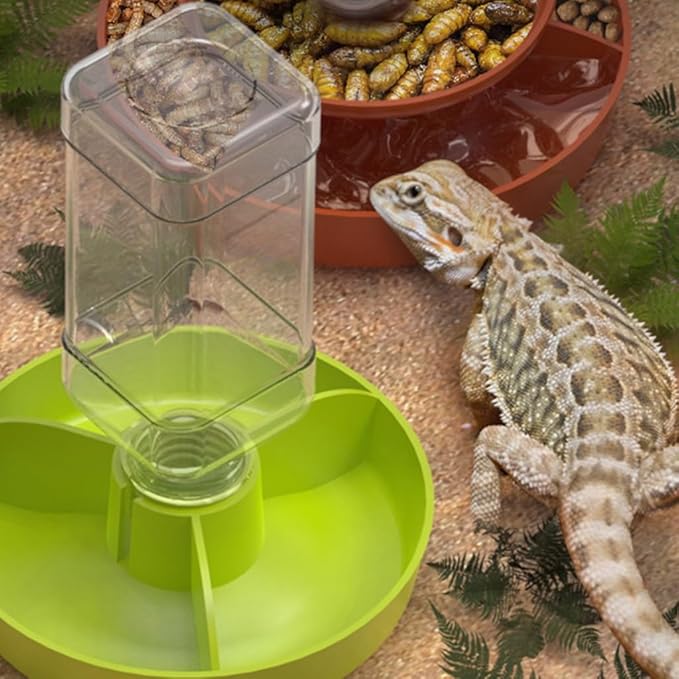 Auto Refilling Reptiles Dispenser Multi Level Structure Clear Monitoring Panel Quiet Operations