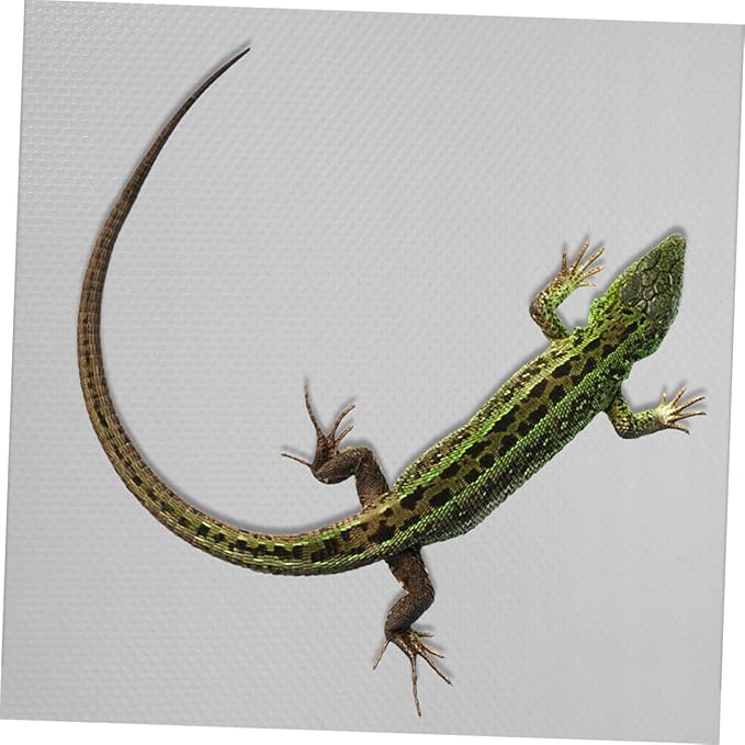 Leopard Gecko Accessories Terrarium Carpet Soft Reptile Substrate Mat for Reptile Tank Bedding