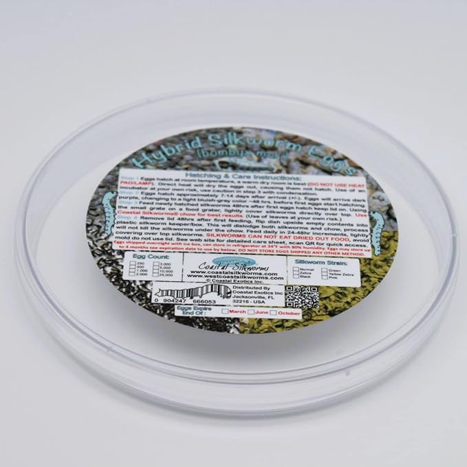 500 Count Live Silkworm Eggs Bombyx Mori (Pack of 1)