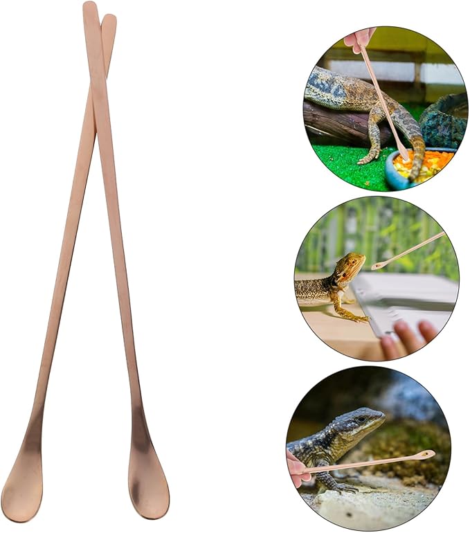 Happyyami 2pcs Reptile Feeding Spoon Ergonomic Handle Stainless Steel Pet Food Scoop for Lizard and Small Animals Easy to Use and Feeding Tool