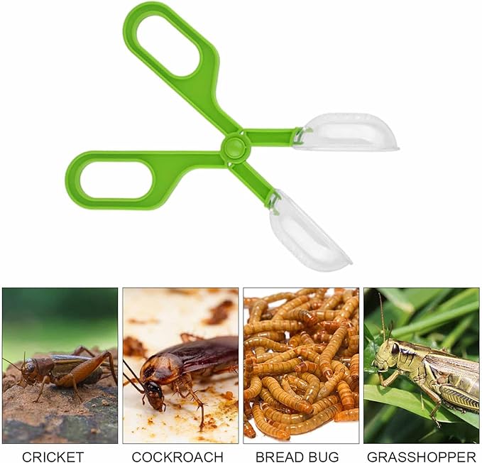 Reptile Feeding Clamp Reptile Poop Scoop Cage Fish Tank Cleaning Tools Green Feeding Tool Feeding Clamp Litter Clamp for Gecko Lizard Bearded Dragon