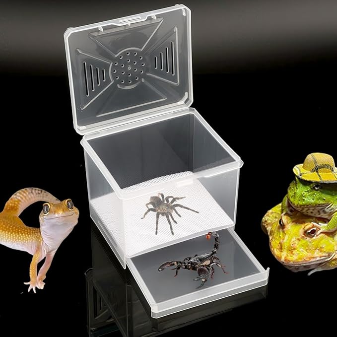 1 Pack Spider Cage Manti Feeding Box to Breed Live Worms for Small Reptile Spider Manti Insects (White)