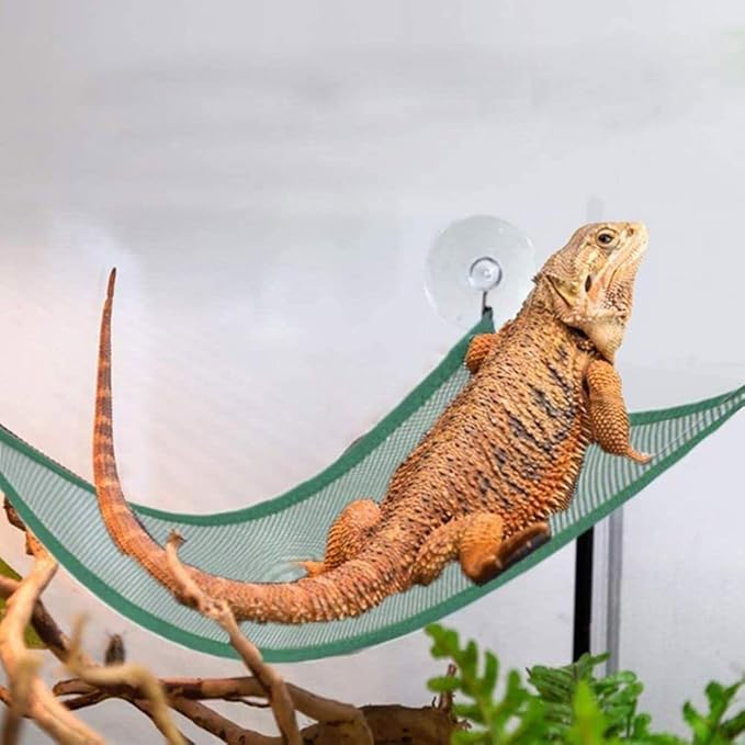 gofidin 2PCS Bearded Dragon Lizard Hammock Reptile Hammock Lounger Ladder Accessories for Bearded Dragons Geckos Lizards Reptile