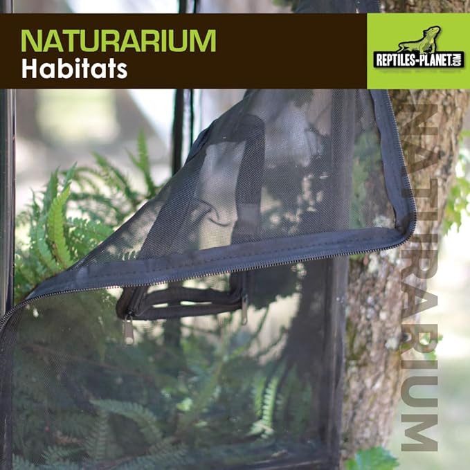 Reptiles-Planet Naturarium Terrarium, Medium, 75 x 45 x 75 cm
