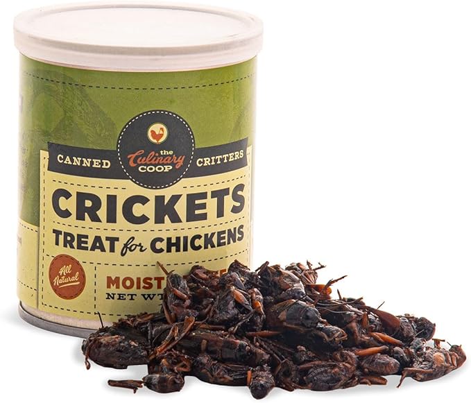 Fluker's Culinary Coop Canned Crickets Chicken Treat, All Natural and Packed with Protein, 2.75 oz