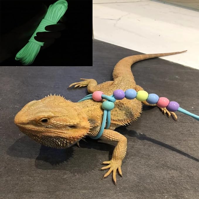 1 Pcs Adjustable Lizard Harness Walking Harness Bearded Dragon Leash Reptile Dragon Leash Harness Lead for Small Animal Hamster Reptiles