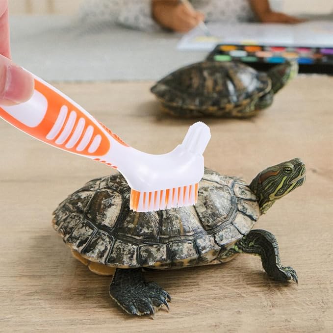 POPETPOP 3pcs Turtle Shell Cleaning Brush Flexible and Mud for Aquatic Turtles Tortoises Non- Handle for Safe Use for Shells and Gaps