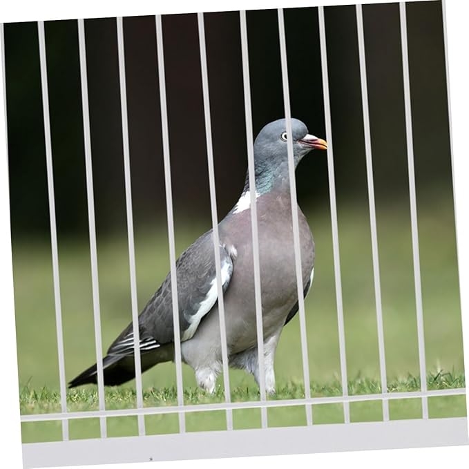 BESPORTBLE 2pcs Pigeon Cage Door for Aviary Bird Cage Accessories Bar Easy to Install Secure Design for Pigeon Safety