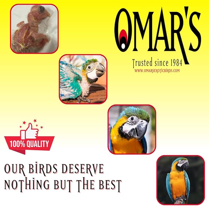 Omar's Cockatiel No Sunflower Blend 4 lb Bag, Premium Bird Seed for Cockatiels & Smaller Sized Birds