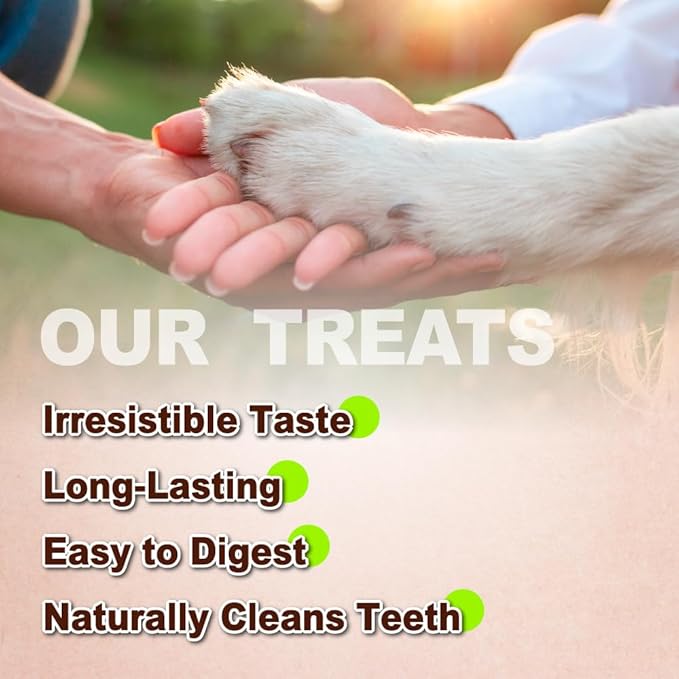 A Freschi srl Turkey Tendons for Dogs, USA-Sourced, Healthy Dog Treats, Rawhide-Free Puppy Chews, Long Lasting, All Natural, Hypoallergenic Dog Treats for Large Breeds, 10 Count Box Ring (L)