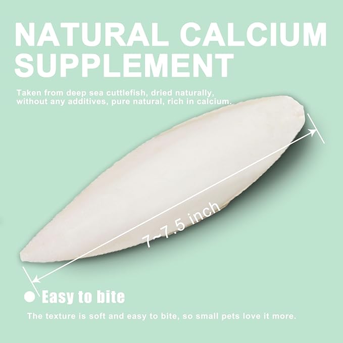 Natural Cuttlebone for Birds Parakeets Canaries Cockatiels Small Conures Mynahs Toucans African Greys All Parrots Snails Totoise (7-7.5 inch,6PCS)
