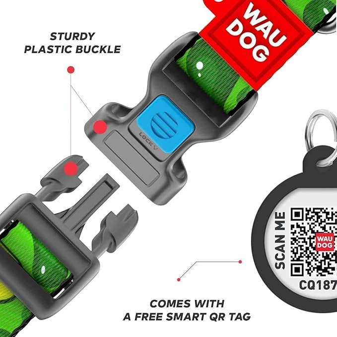 Nylon Dog Collar and Leash Set - Adjustable Dog Collar for Large Dogs, Small & Medium Dogs - Puppy Collars for Large Breed - Boy & Girl Collars with Durable Plastic Buckle and QR Tag
