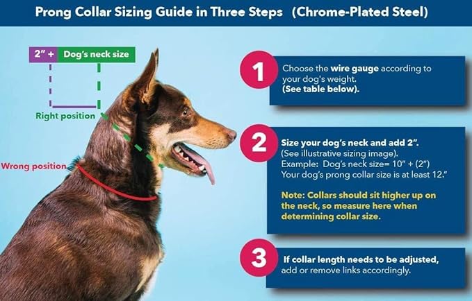 Herm Sprenger 2.25mm Prong Collar for Dog Training Adjustable Length & Easy Quick Release Buckle for Small/Medium Dogs (13-19" Neck)