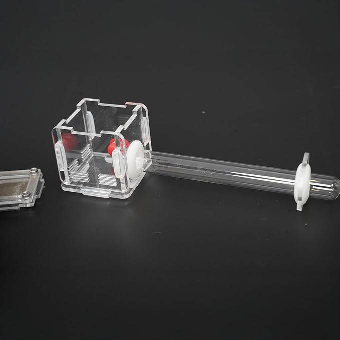2x2x2 Inch 15mm Acrylic Transparent Ant Nest - Mini Ant Farm, Small Colony Observation