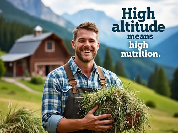 Blue Mountain Hay High-Altitude Organic Alfalfa Hay (48 oz), High Protein Fiber & Mineral Rich, Soft Leafy Texture with High Leaf Retention, Premium Quality Feed for Small Pets and Farm Use