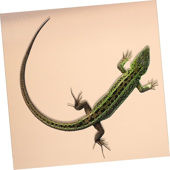 Mikikit Eva Reptile Carpet Mat for Tortoises Snakes and Lizards Climbing Bedding for Terrariums Easy to Clean Substrate for Leopard Geckos and Bearded Dragons