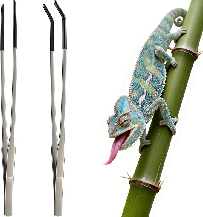 10.6-Inch Straight & Curved Tongs for Bearded Dragons, Lizards, and Aquarium Maintenance