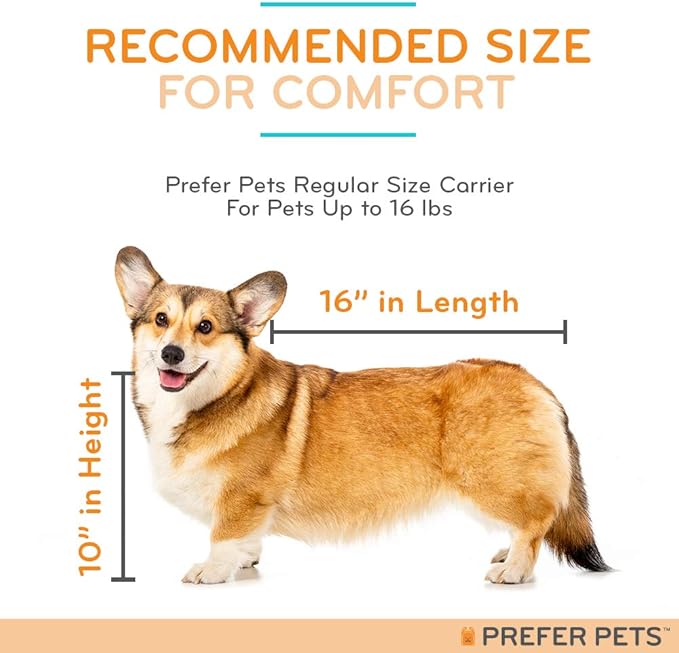 Prefer Pets: Jet Carrier - Pet Travel Carrier - 17”L x 12”H x 10”D - Airline Approved Travel Carrier - Provides A Safe & Secure Way to Travel - Keep You Pet Comfortable