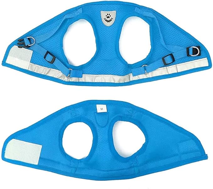 FEimaX Dog Harness and Leash Set for Walking, Soft Mesh Adjustable Easy Control Lightweight Cat Vest Harnesses with Reflective Strips, Escape Proof Small Dogs Cats Vests (Azure, Small)